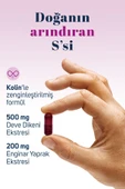 Milk Thistle Complex Deve Dikeni Ekstresi Ve Enginar Ekstresi Içeren Takviye Edici Gıda 60 Kapsül - 3