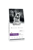 Molly Medium Adult Kuzu Etli & Yaban Mersinli Orta ve Büyük Irk Yetişkin Köpek Maması 2 Kg - 1