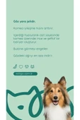 Vetigo Irigo Eye Care Kedi Ve Köpek Göz Bakım Jeli - 5 ml - 2
