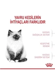 Alisopping Royal Canin Kitten Yavru Kedi Maması 2 Kg - 2
