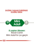 SKY TOPTAN Royal Canin Mini Adult Küçük Irk Yetişkin Köpek Maması 2 Kg - 2