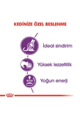 POLEXP Royal Canin Sensible 33 Hassas Yetişkin Kedi Maması 4 Kg - 2