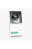 Molly Hypoallergenic Derma Care Küçük Irk Somonlu Yetişkin Köpek Maması 2 kg - 1