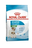 LAMFER Royal Canin Mini Starter Küçük Irk Yavru Köpek Maması 4 Kg - 1