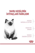 Alisopping Royal Canin Kitten Yavru Kedi Maması 2 Kg - 5