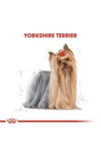 Royal Canin Yorkshire 28 Yorkshire Terrier Köpeklerine Özel Irk Mamasi 1,5 Kg - 5