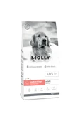 Molly Medium Adult Derma Care Somonlu Orta ve Büyük Irk Yetişkin Köpek Maması 2 Kg - 1