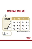 Alisopping Royal Canin Pomeranian Yetişkin Köpek Irk Maması 3 Kg - 6