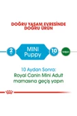 SKY TOPTAN Royal Canin Mini Puppy Küçük Irk Yavru Köpek Maması 2 Kg - 2