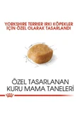 Alisopping Royal Canin Yorkshire 28 Yorkshire Terrier Köpeklerine Özel Irk Mamasi 1,5 Kg - 6