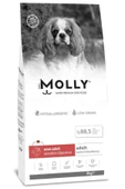 Molly Kuzulu ve Yabanmersinli Mini Irk Yetişkin Köpek Maması 2kg - 1