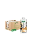 Pınar Yer Fıstıklı Ve Muz Aromalı Protein Süt 500 ml X 12 Adet - 3