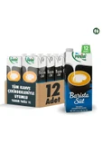 Pınar Barista Yarım Yağlı İnek Sütü 1 lt X 12 Adet - 1