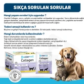 OneVet Collagen Şase 30x3 gr Kedi Ve Köpekler Için Kolajen Eklem, Kas Ve Kemik Güçlendirmeye Yardımcı - 7