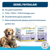 OneVet Collagen Şase 30x3 gr Kedi Ve Köpekler Için Kolajen Eklem, Kas Ve Kemik Güçlendirmeye Yardımcı - 3