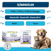 OneVet Collagen Şase 30x3 gr Kedi Ve Köpekler Için Kolajen Eklem, Kas Ve Kemik Güçlendirmeye Yardımcı - 6