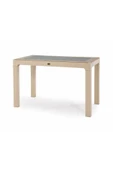 ZİYNET HOME Rattan Masa 70x120 Sabit Camlı Masa - Bahçe balkon teras A Plus Orta Boy Masa - 7