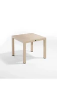 ZİYNET HOME 90x90 Rattan Masa Balkon Bahçe Teras Masası Kare Rattan Masa - 4