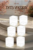 Kapaklı Plastik Kare Tatlı Kabı 250 cc - 1