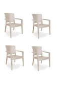 ZİYNET HOME Rattan Sandalye 4 Adet Rattan Victor Kollu Sandalye Koltuk 4'lü Set A plus - 5