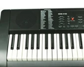 Nemesis 3100 org - 3