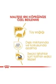 Maltese Yetişkin Kuru Köpek Maması 1.5kg thumbnail 4
