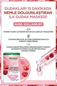 Dudak Nemlendirici Bakım Maskesi - 4