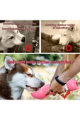 Kedi Köpek Evcil Hayvan Portatif Çok Amaçlı Suluk ve Mama Kabı - 300 ml + 150 ml - 2