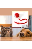 Şarjlı Otomatik Hareketli Kedi Köpek İçin 360 Derece Dönen İnteraktif Akıllı Oyun Topu - 5