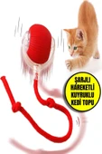 Şarjlı Otomatik Hareketli Kedi Köpek İçin 360 Derece Dönen İnteraktif Akıllı Oyun Topu - 1