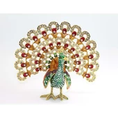 Taşlı Tavuskuşu thumbnail 1