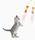 Elastik Kendinden Yapışkanlı Solucan Kedi Oltası - 4