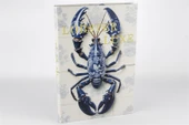 Mikasa Moor Lobster Luxe Kitap Kutu 35x24x3cm thumbnail 1