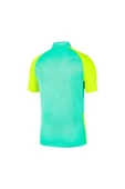 Nike Jersey Trophy IV BV6725-354 Erkek Polo Yaka Tişört - 2
