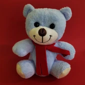 Mavi Peluş Ayı - 1