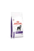 Royal canin   Adult L Büyük Irk Köpek Kuru Maması 13 Kg - 3