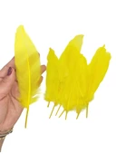 Sarı Tüy El İşi Tüyleri, Okul Öncesi Etkinlik Tüy 10 Lu - 1 Paket - 1