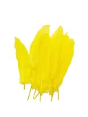 Sarı Tüy El İşi Tüyleri, Okul Öncesi Etkinlik Tüy 10 Lu - 1 Paket - 2