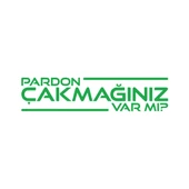 Pardon Çakmağınız var mı Sticker 17x17 Cm Yeşil - 1