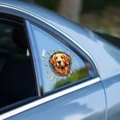 Fulcar Golden Araç Stickerı - 2