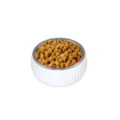 Mikopet Organik Seramik Mama Kabı Beyaz - 5
