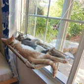 Cama Asılan Kedi Yatağı - 3