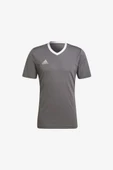 adidas Entrada 22 Jersey HE1574 Gri Erkek Forma - 1