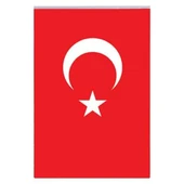 Vatan 40x60 Polyester Bayrak - 1