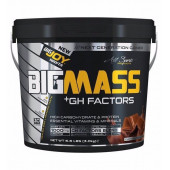 Bigjoy Sports BIGMASS Gainer GH FACTORS 1200 GR - 1