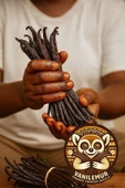 Vanilya Çubuğu Organik Madagaskar Vanilyası 5 Adet XL Vakumlu Paket(Vanilemur) - 2