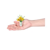 Nessiworld MN800010 - MN800000 Mini Brands - Botanik Bahçe 77559 - 5