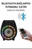MK-401 RGB LED Işıklı Kablosuz Hoparlör FM/USB/AUX / Mikrofon Destekli - 2