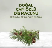 Nessiworld Eyüp Sabri Tuncer Doğal Diş Macunu 90 Gr Çam Özlü thumbnail 2