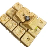 Lion Orjinal Trakya Sazan Küspesi 12 Li Paket 800 Gr miXon - 4